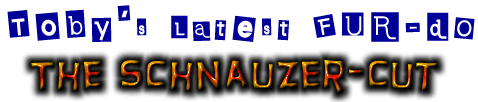 Schnauzer Cut.gif (21085 bytes)