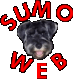 Sumo'S WEB PORTAL.gif (4210 bytes)